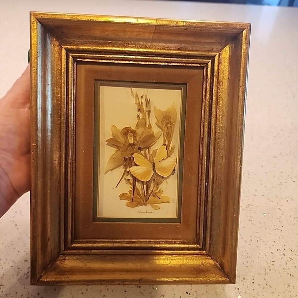 Decorative Gold Colored Photo Frame w/dehydrated Butterfly Flowers 7.5" x 9.5"